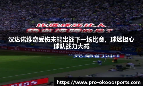 汉达诺维奇受伤未能出战下一场比赛，球迷担心球队战力大减